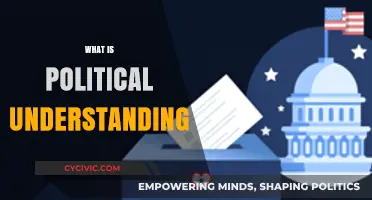 Understanding Politics: A Comprehensive Guide to Political Awareness and Insight