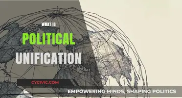 Understanding Political Unification: Concepts, Processes, and Global Implications
