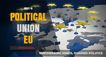 Understanding the EU's Political Union: Structure, Goals, and Impact