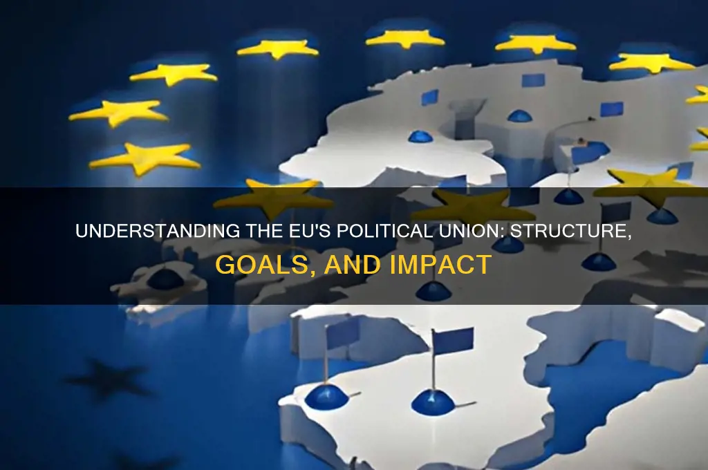 what is political union eu