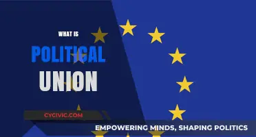 Understanding Political Union: Definition, Purpose, and Global Examples Explained