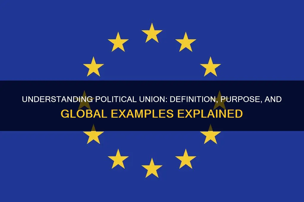 what is political union