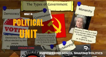 Understanding Political Units: Definitions, Types, and Global Significance