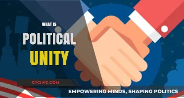 Understanding Political Unity: Foundations, Challenges, and Global Implications