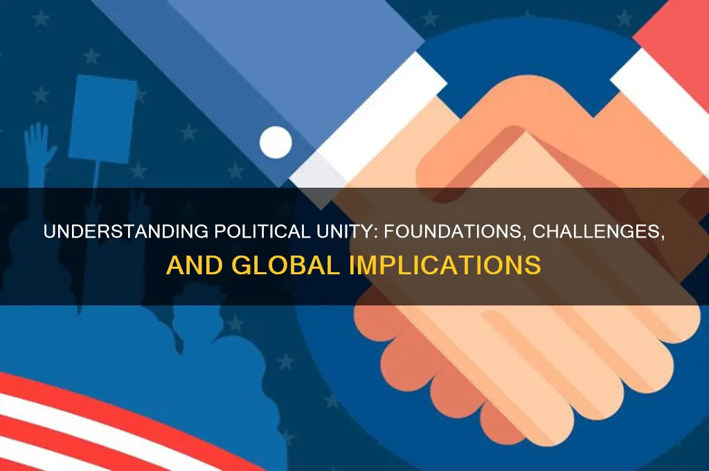 what is political unity