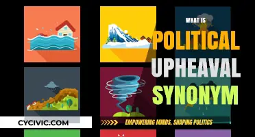 Understanding Political Upheaval: Synonyms and Global Implications Explained