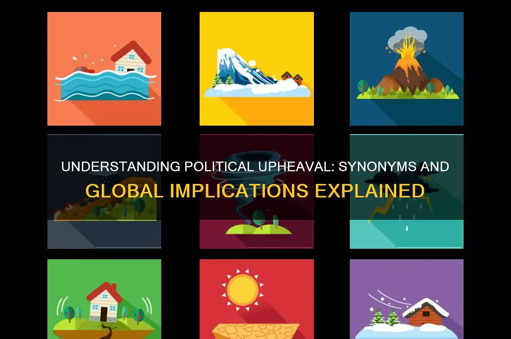 what is political upheaval synonym