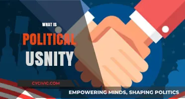 Understanding Political Unity: Definition, Importance, and Global Impact Explained