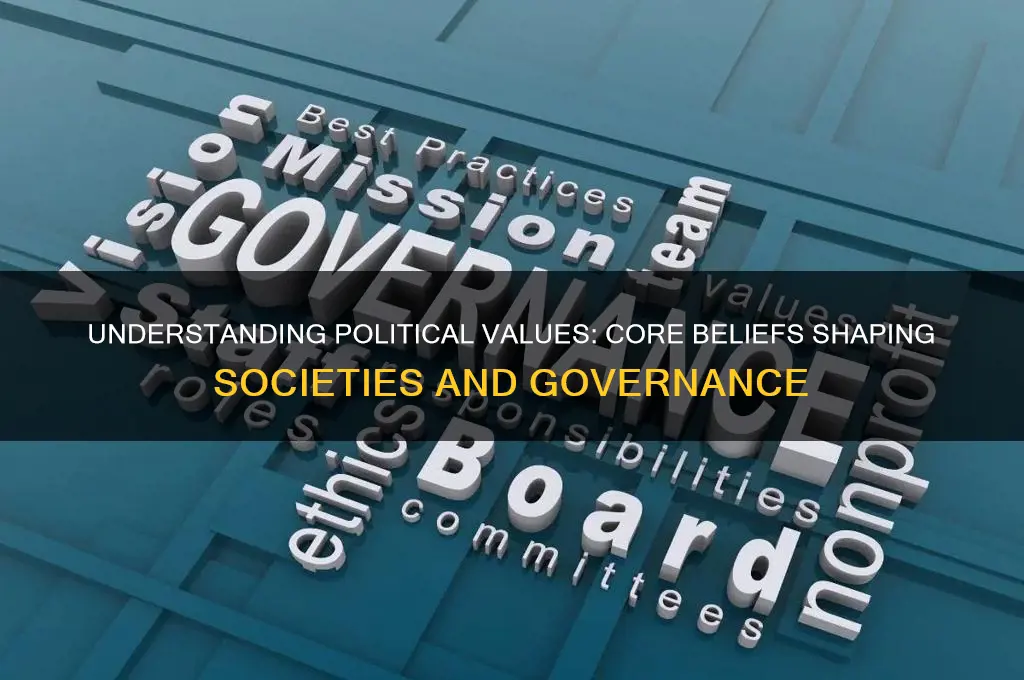 what is political value