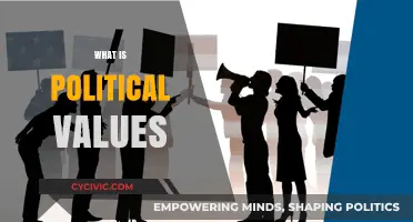 Understanding Political Values: Core Beliefs Shaping Societies and Governance