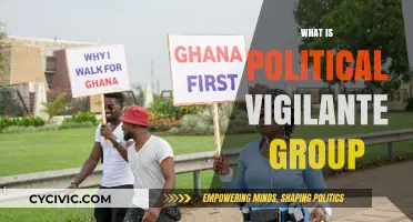 Understanding Political Vigilante Groups: Origins, Roles, and Societal Impact