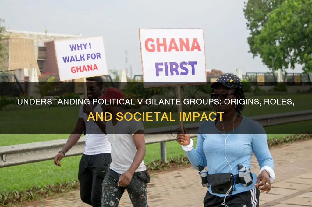 what is political vigilante group