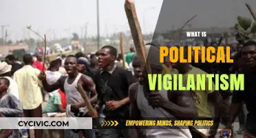 Understanding Political Vigilantism: Causes, Consequences, and Societal Impact