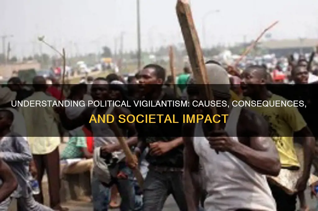 what is political vigilantism