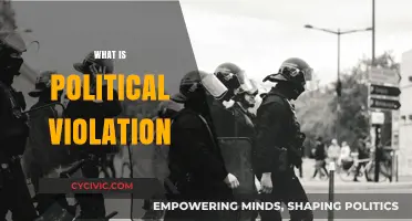 Understanding Political Violation: Causes, Consequences, and Prevention Strategies
