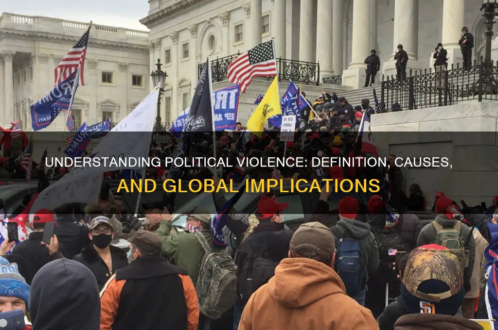 what is political violence definition