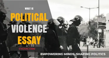 Understanding Political Violence: Causes, Impacts, and Prevention Strategies