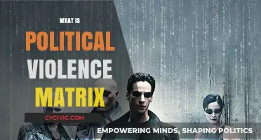 Understanding the Political Violence Matrix: A Comprehensive Framework Explained