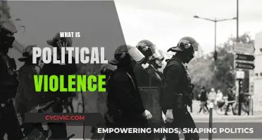 Understanding Political Violence: Causes, Impact, and Prevention Strategies