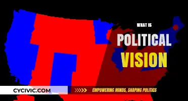 Understanding Political Vision: Shaping Societies Through Ideals and Strategies