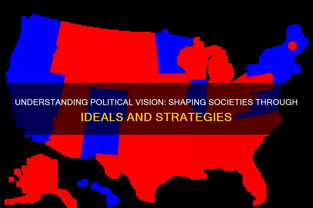 what is political vision