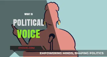 Understanding Political Voice: Power, Representation, and Civic Engagement Explained