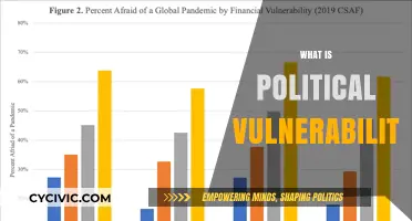 Understanding Political Vulnerability: Causes, Impacts, and Mitigation Strategies