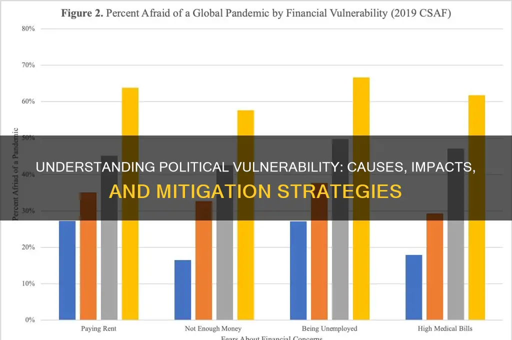 what is political vulnerability