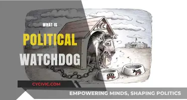 Understanding Political Watchdogs: Guardians of Democracy and Accountability