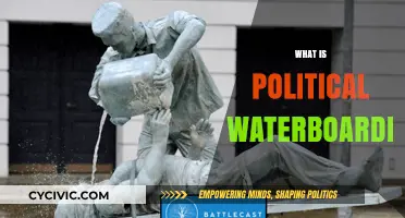 Unveiling Political Waterboarding: Tactics, Impact, and Ethical Implications Explained