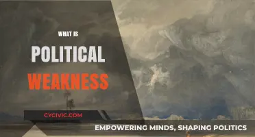 Understanding Political Weakness: Causes, Consequences, and Strategic Implications