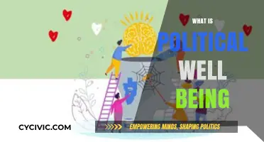 Understanding Political Well-Being: A Comprehensive Guide to Civic Health