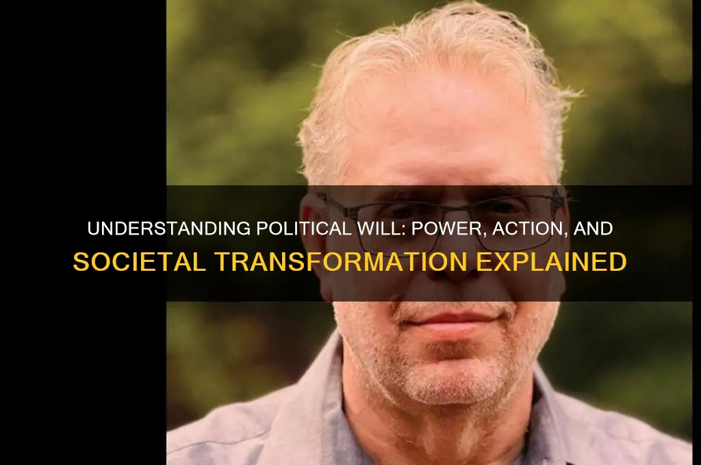 what is political will