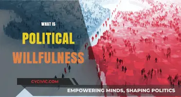 Understanding Political Willfulness: Power, Intent, and Societal Impact Explained