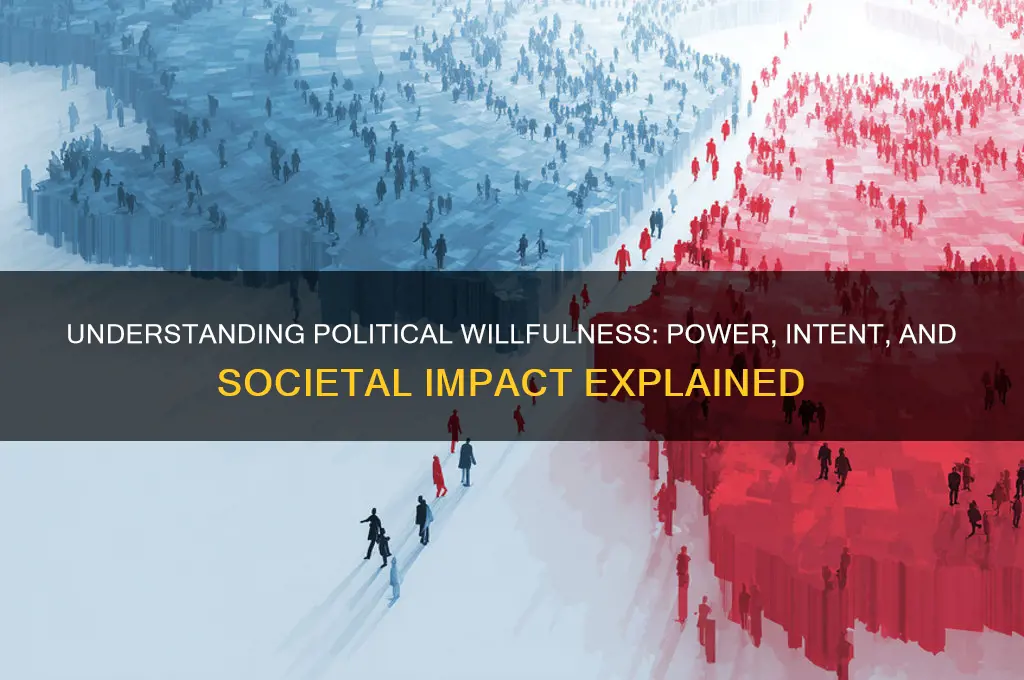 what is political willfulness