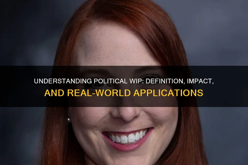 what is political wip