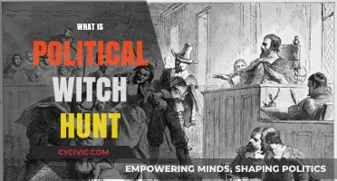 Understanding Political Witch Hunts: Tactics, Impact, and Historical Context