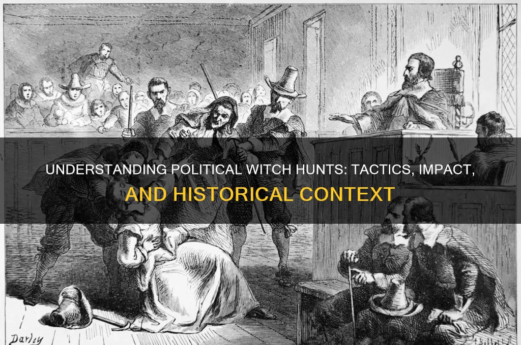 what is political witch hunt