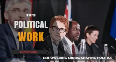 Understanding Political Work: Roles, Impact, and Importance in Society