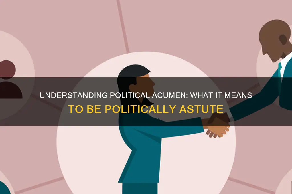 what is politically astute