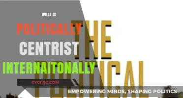 Understanding Political Centrism: A Global Perspective on Moderate Ideologies