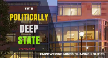 Unveiling the Politically Deep State: Power, Influence, and Hidden Structures