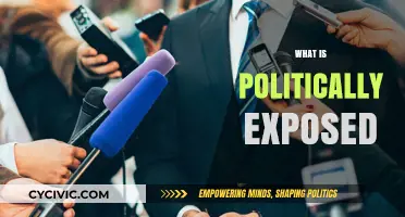 Understanding Politically Exposed Persons: Risks, Regulations, and Compliance