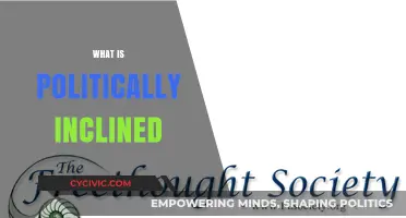 Understanding Political Inclination: What It Means and How It Shapes Society