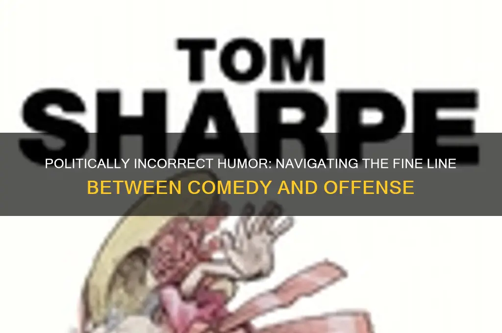 what is politically incorrect humor