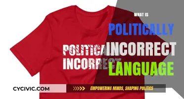 Understanding Politically Incorrect Language: Impact, Evolution, and Social Sensitivity