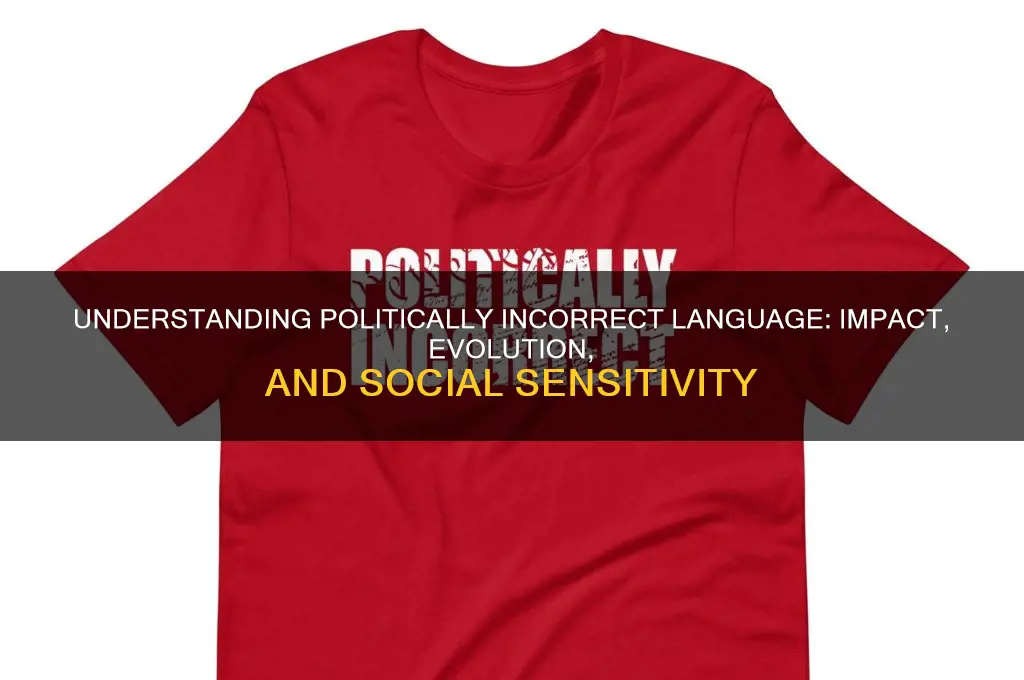 what is politically incorrect language