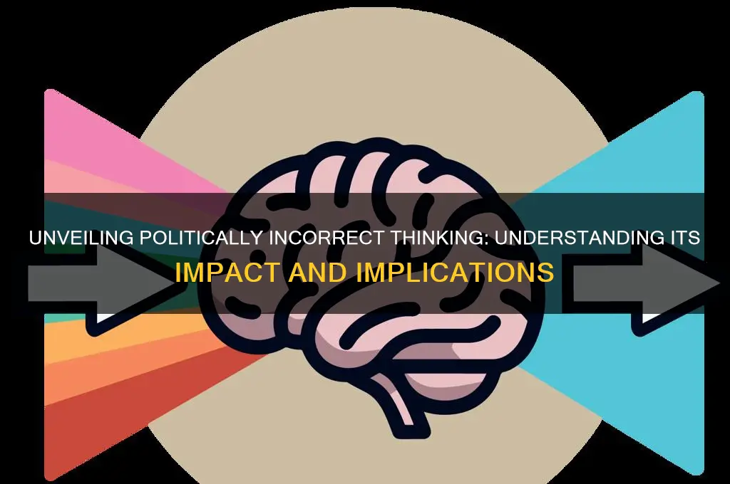 what is politically incorrect thinking