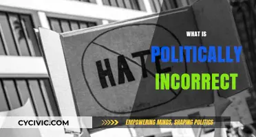 Understanding Political Incorrectness: Navigating Social Norms and Free Speech