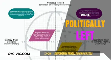 Understanding the Political Left: Core Values, History, and Modern Perspectives